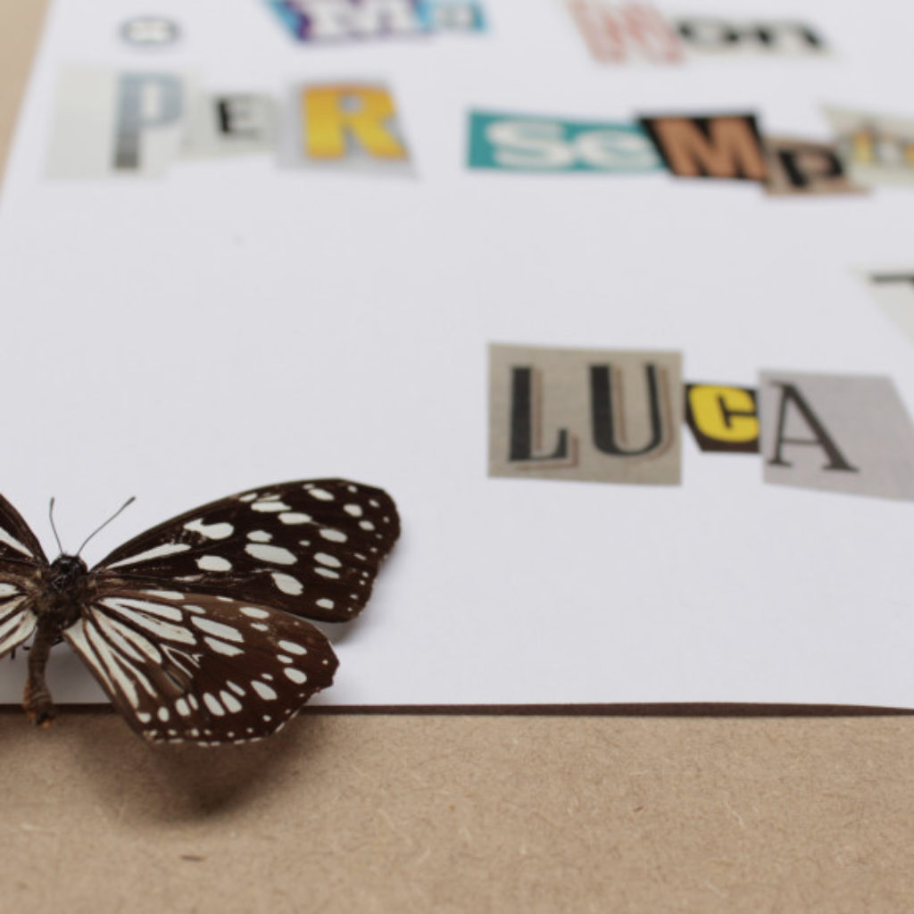 come una mosca sul burro (part). farfalla e carta su mdf cm. 42,5 x 32,5. 2014
