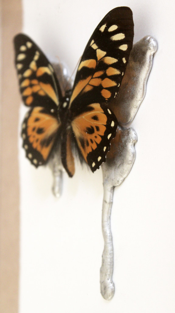 sometimes I feel like (part). stagno e farfalla su mdf cm. 52,5 x 25,5. 2015